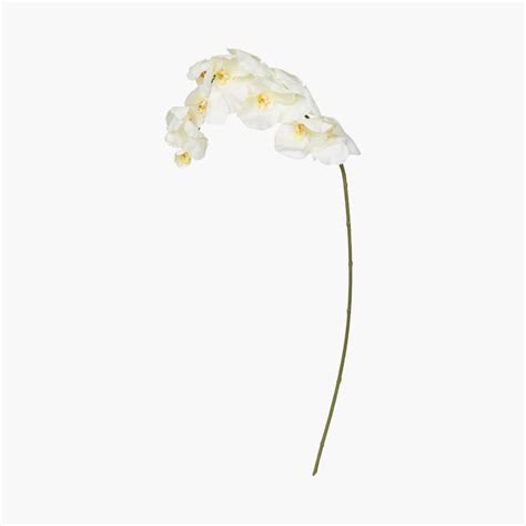 Buy Artificial Decorative Flower from Home Centre at just INR 699.0