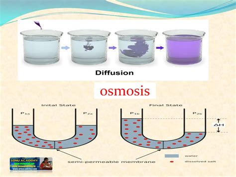 SONU ACADEMY: DIFFUSION-TEXT