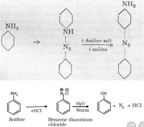 How will you convert aniline into phenol and p-aminoazobenzene ...