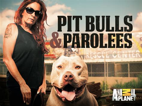 Is Pitbulls And Parolees Coming Back In 2018
