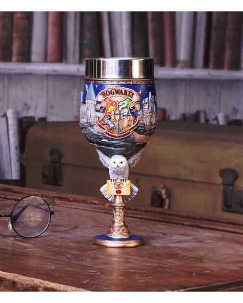 Harry Potter Hogwarts Wine Goblet as a present | Horror-Shop.com