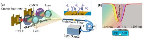 A Fiber-Optic Surface Plasmon Resonance Sensor for Bio-Detection in ...