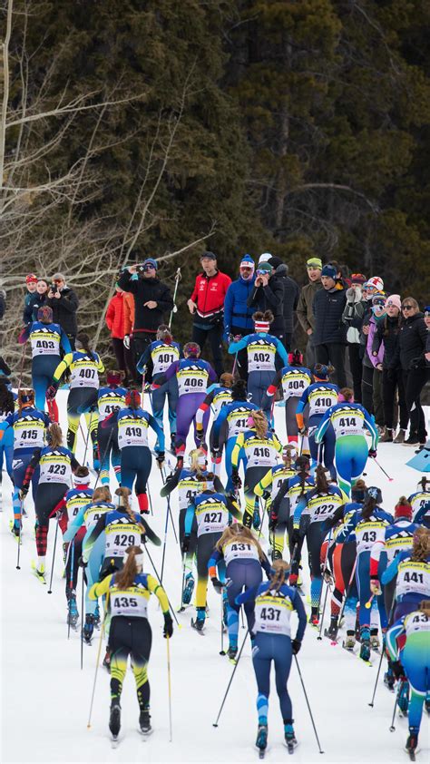 Nordiqo: Complete Overview of the Platform in 2025