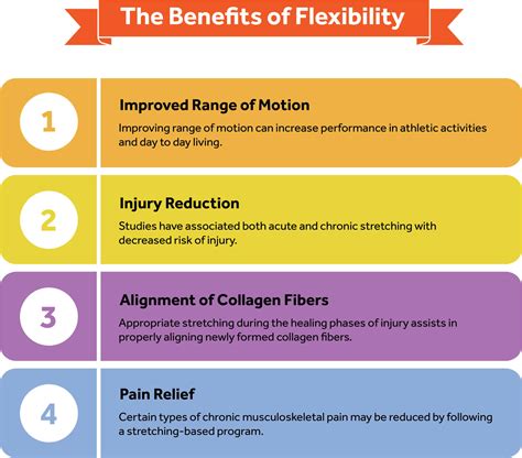 Chapter 13: Principles of Flexibility Training Techniques