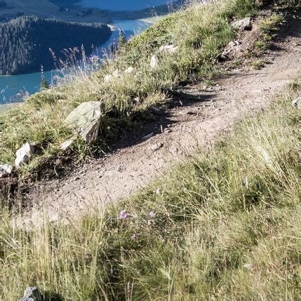 Hardtail Mountain Bike | MTB | CANYON IN