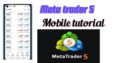 Image result for Meta5trading Tutorial