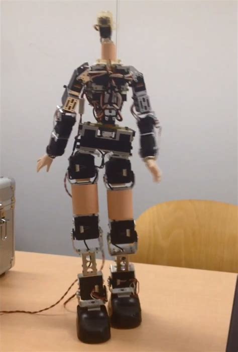 Mini Humanoid Robot 的图像结果