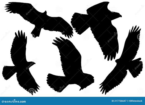 Birds Of Prey Silhouettes Vector Illustration | CartoonDealer.com #78142364