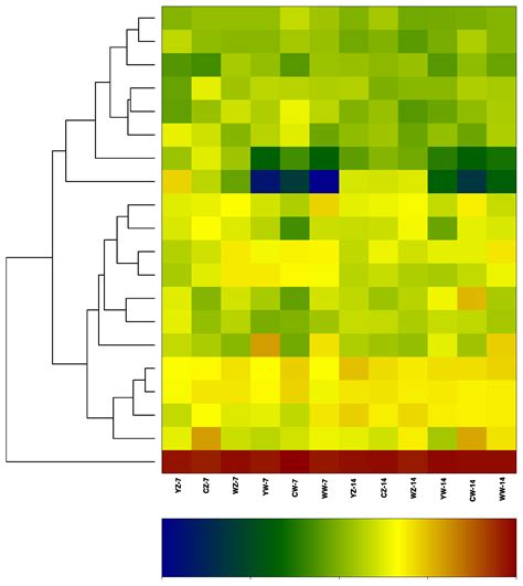 Effects of Fertilization Patterns on the Growth of Rapeseed Seedlings ...
