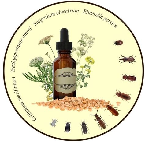 Plants | Special Issue : Green Insect Control: The Potential Impact of ...