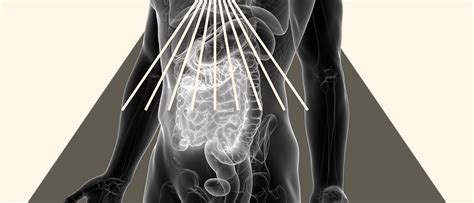 How to Increase GLP-1 Naturally—But Should You?