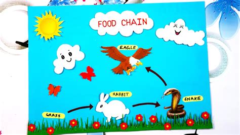 Science Food Chain 的图像结果