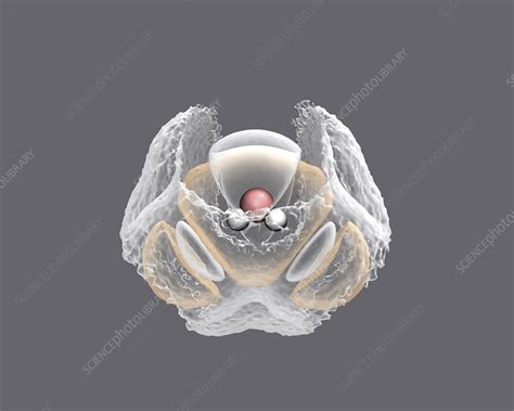 Image result for Spatial Structure Science