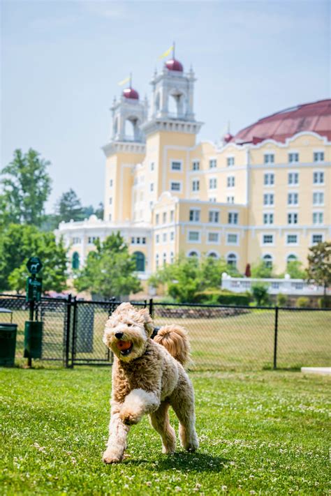 Best Pet-Friendly Hotels - Pet-Friendly Hotels Across the U.S.