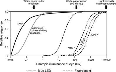 Image result for Relative Visual Size