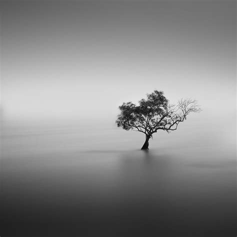 Image result for VisionTree