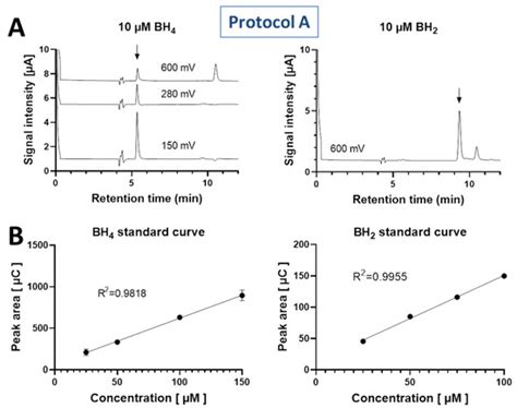 Measurement of Tetrahydrobiopterin in Animal Tissue Samples by HPLC ...