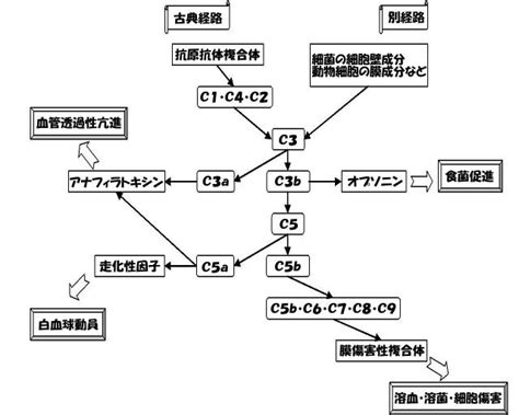 Image result for Intangible Assets Types
