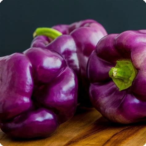 Lilac Bell Sweet Pepper Seeds - Heirloom Untreated NON-GMO From Canada