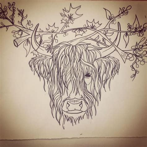 Cute Highland Cow Drawings - Drawing Tips Guide
