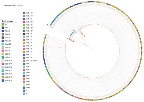 Complete Genome Sequence Analysis of the First Imported Mpox Virus ...