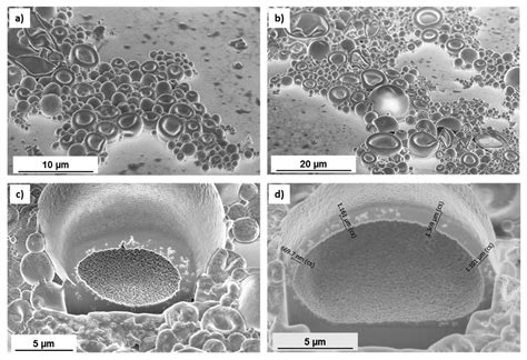 Preparation of Poly(ethylene glycol)@Polyurea Microcapsules Using Oil ...