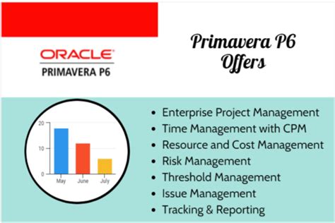 Image result for Primavera 6.0 Tutorial