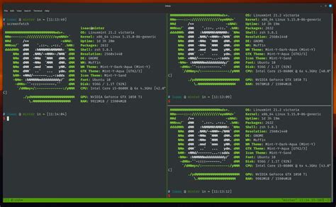 Linux Terminal Emulator 的图像结果
