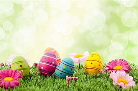 Image result for Easter Color Patterns