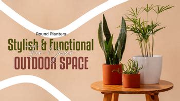 Modern Round Planters: Add Style to Your Outdoor Garden