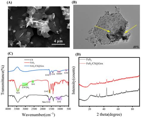 Dual-Enzyme Cascade Composed of Chitosan Coated FeS2 Nanozyme and ...