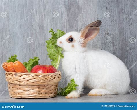 White Cute Rabbit Eating Green Lettuce Carrot and Apple in the Wooden ...