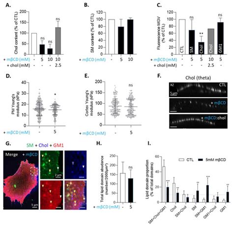 Biomolecules | Topical Collection : Feature Papers in Lipids