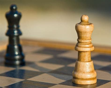 Python Backtracking 的图像结果