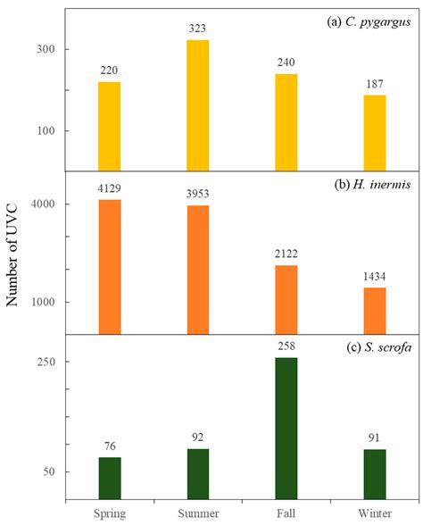 Predictive Modeling of Ungulate–Vehicle Collision in the Republic of Korea
