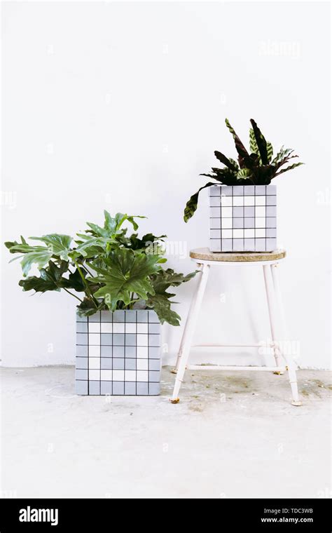 Image result for Creative Flower Pots