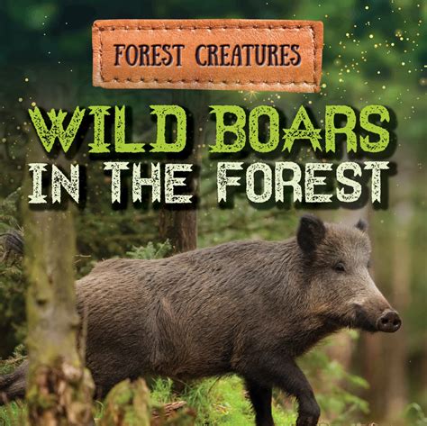 Buy Wild Boars in the Forest (Forest Creatures) Book Online at Low ...