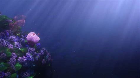 Image result for Finding Nemo Part 5 Drop Off