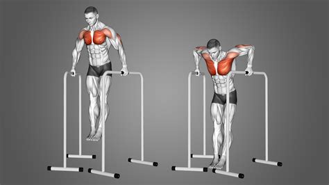 Image result for DIP