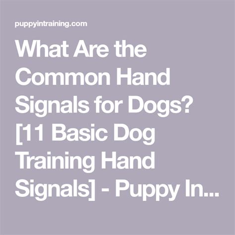 Image result for Common Hand Signals for Dogs Sheet