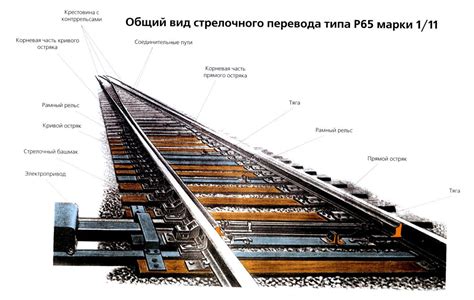 Назначение, виды и конструкция стрелочных переводов