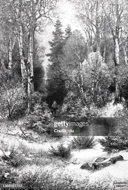 Path Drawing 的图像结果