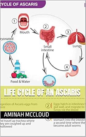 LIFE CYCLE OF AN ASCARIS eBook : McCloud , AMINAH: Amazon.in: Kindle Store