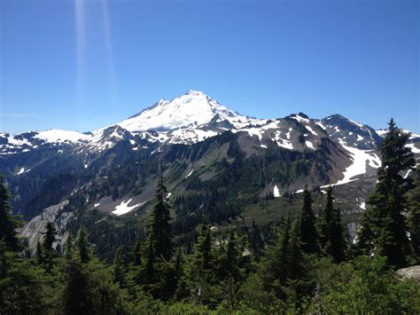 Contact Marketing Agency in Bellingham, WA | Intellitonic Aesthetic