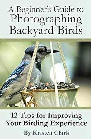 A Beginner’s Guide to Photographing Backyard Birds: 12 Tips for ...