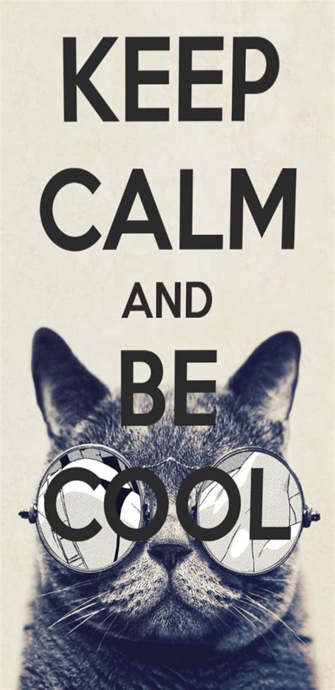 30 Memes Proving Cats Are Just Too Cool For School - I Can Has Cheezburger?