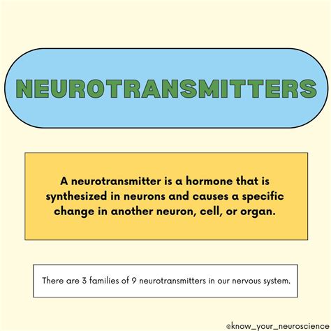 What Is a Neurotransmitter 的图像结果