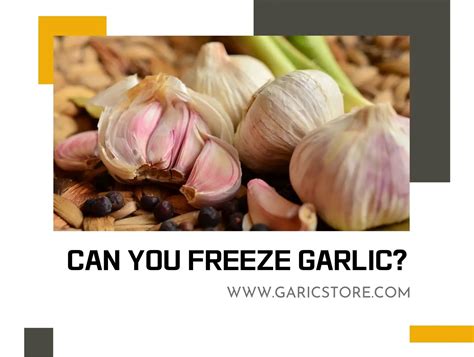 Can You Freeze Garlic? [Expert Opinion]- Garlic Store