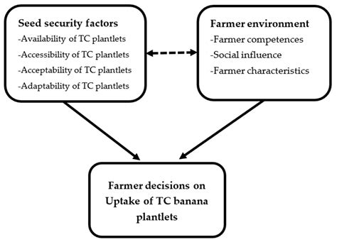 Seed Security Factors Driving Farmer Decisions on Uptake of Tissue ...