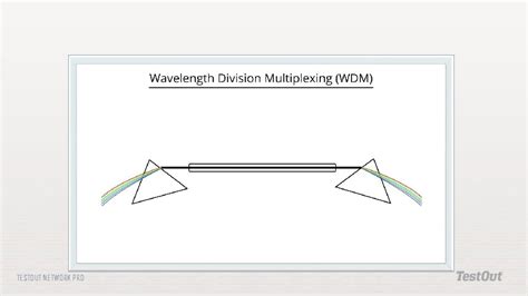 Image result for Ytestout Network Pro Tutorials